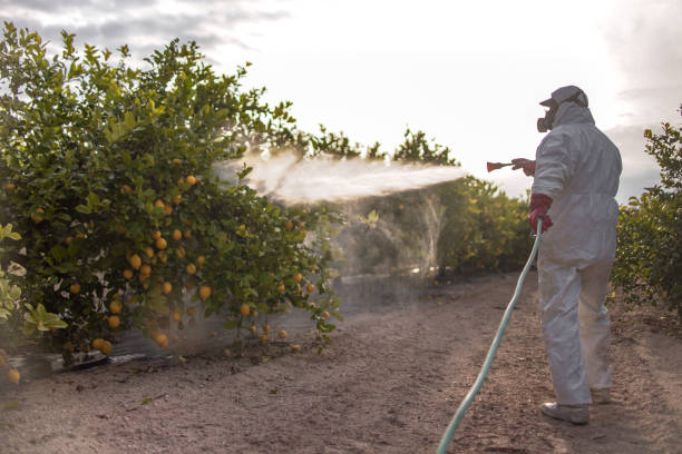 Best Pest Removal Services  in New Smyrna Beach, FL