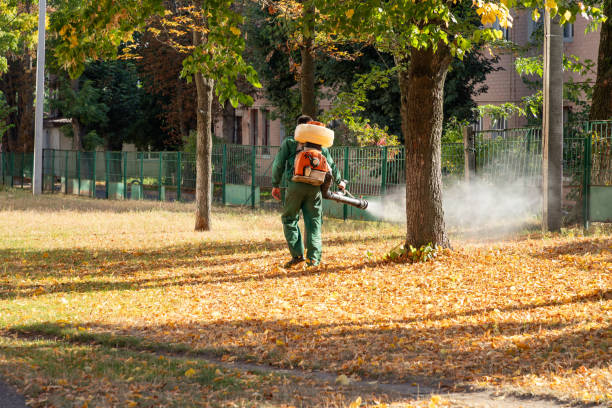 New Smyrna Beach, FL Pest Control Company