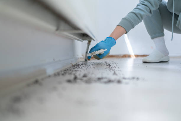 Best Residential Pest Control  in New Smyrna Beach, FL